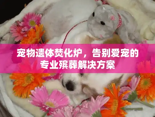宠物遗体焚化炉，告别爱宠的专业殡葬解决方案