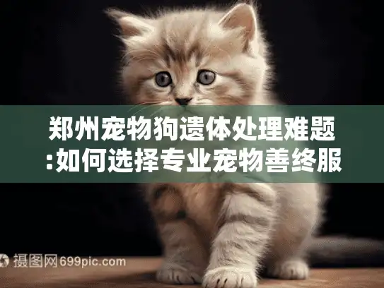 郑州宠物狗遗体处理难题:如何选择专业宠物善终服务?