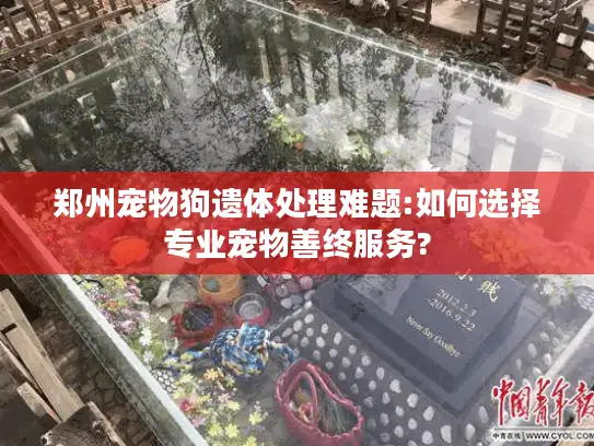 郑州宠物狗遗体处理难题:如何选择专业宠物善终服务?
