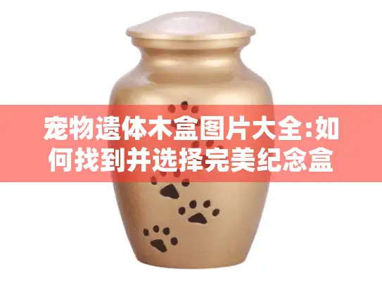 宠物遗体木盒图片大全:如何找到并选择完美纪念盒？