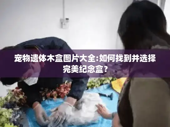 宠物遗体木盒图片大全:如何找到并选择完美纪念盒？
