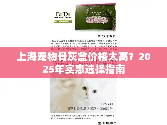 上海宠物骨灰盒价格太高？2025年实惠选择指南