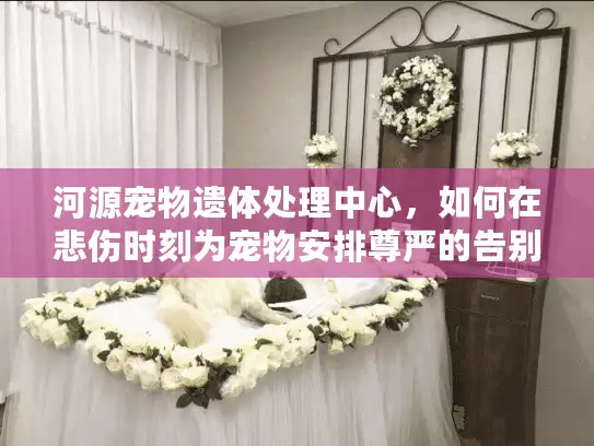 河源宠物遗体处理中心，如何在悲伤时刻为宠物安排尊严的告别？