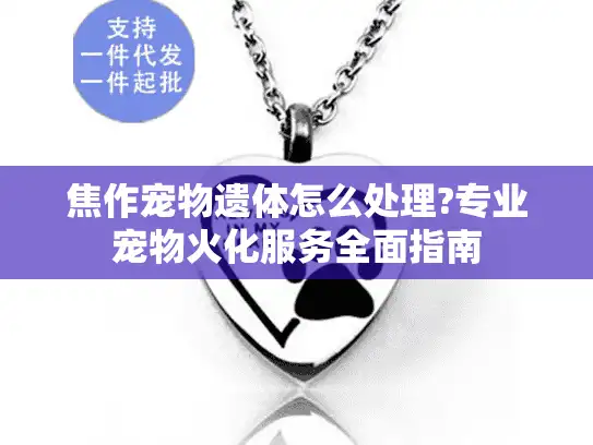 焦作宠物遗体怎么处理?专业宠物火化服务全面指南