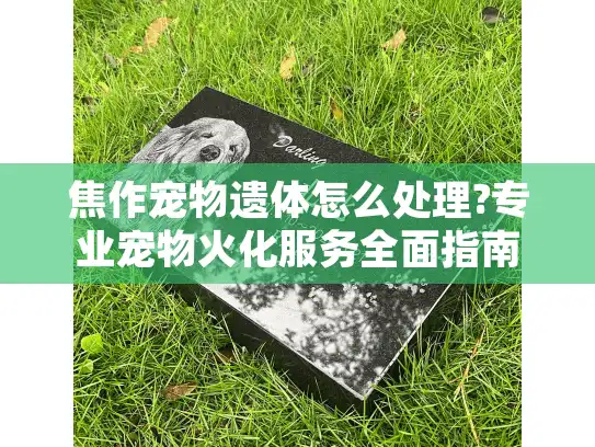 焦作宠物遗体怎么处理?专业宠物火化服务全面指南