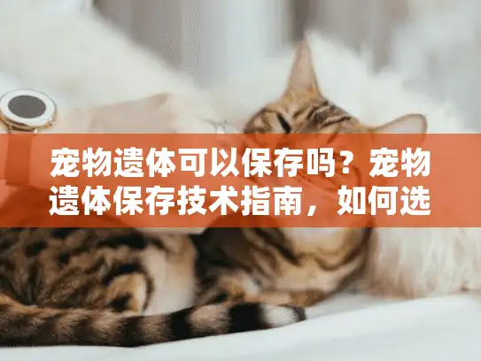 宠物遗体可以保存吗？宠物遗体保存技术指南，如何选择合适告别方案？