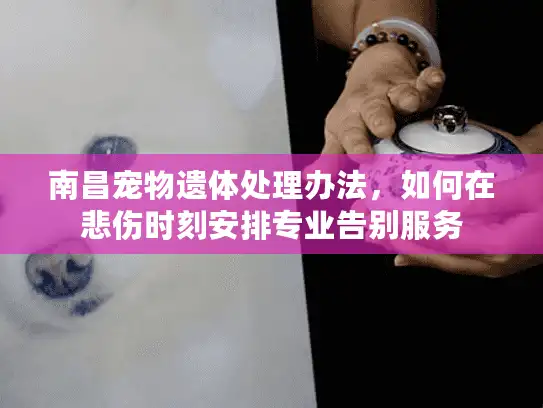 南昌宠物遗体处理办法，如何在悲伤时刻安排专业告别服务
