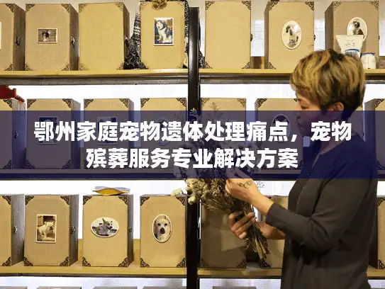 鄂州家庭宠物遗体处理痛点，宠物殡葬服务专业解决方案