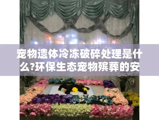 宠物遗体冷冻破碎处理是什么?环保生态宠物殡葬的安心选择