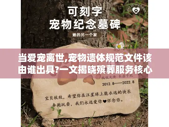 当爱宠离世,宠物遗体规范文件该由谁出具?一文揭晓殡葬服务核心要件