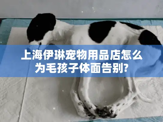 上海伊琳宠物用品店怎么为毛孩子体面告别?
