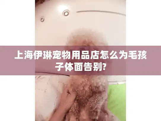 上海伊琳宠物用品店怎么为毛孩子体面告别?