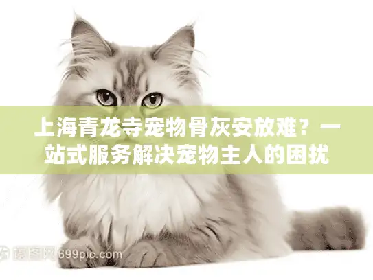 上海青龙寺宠物骨灰安放难？一站式服务解决宠物主人的困扰