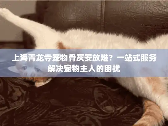 上海青龙寺宠物骨灰安放难？一站式服务解决宠物主人的困扰