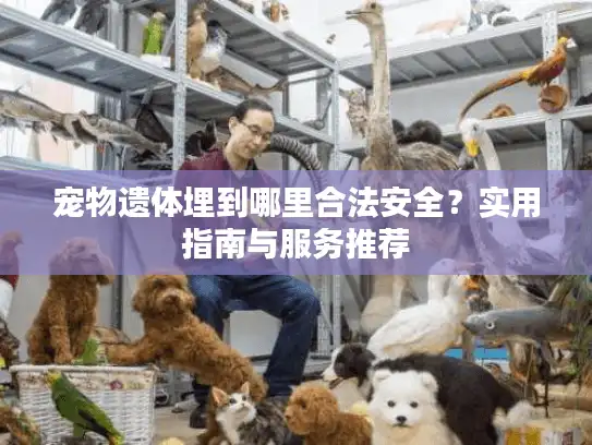 宠物遗体埋到哪里合法安全？实用指南与服务推荐