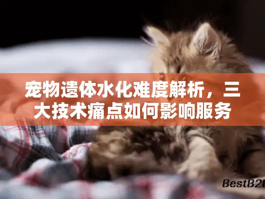 宠物遗体水化难度解析，三大技术痛点如何影响服务质量