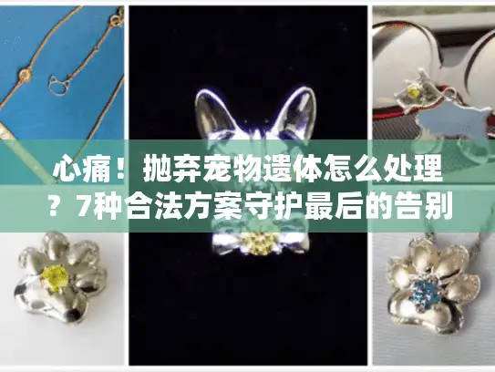 心痛！抛弃宠物遗体怎么处理？7种合法方案守护最后的告别
