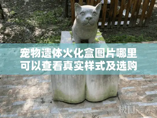 宠物遗体火化盒图片哪里可以查看真实样式及选购攻略?