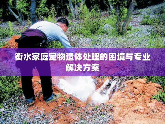 衡水家庭宠物遗体处理的困境与专业解决方案