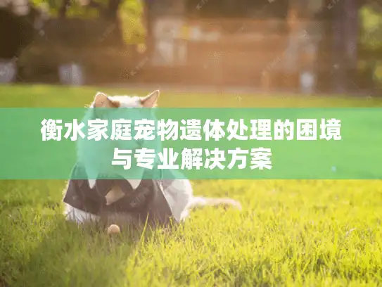 衡水家庭宠物遗体处理的困境与专业解决方案