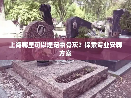 上海哪里可以埋宠物骨灰？探索专业安葬方案