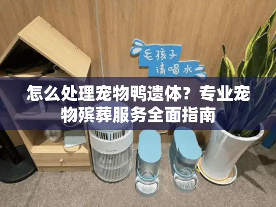 怎么处理宠物鸭遗体？专业宠物殡葬服务全面指南