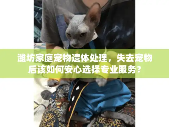 潍坊家庭宠物遗体处理，失去宠物后该如何安心选择专业服务？