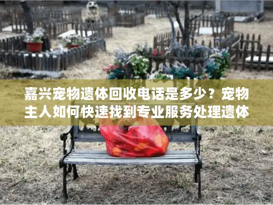 嘉兴宠物遗体回收电话是多少？宠物主人如何快速找到专业服务处理遗体