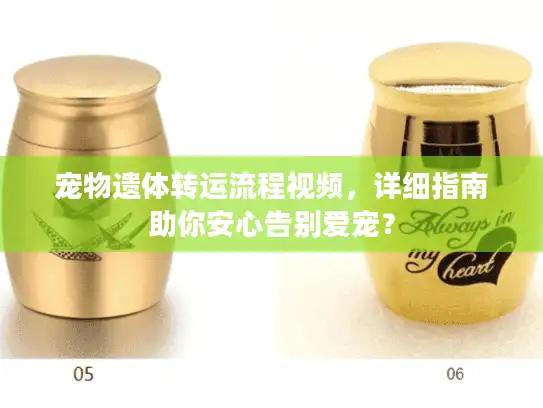 宠物遗体转运流程视频，详细指南助你安心告别爱宠？