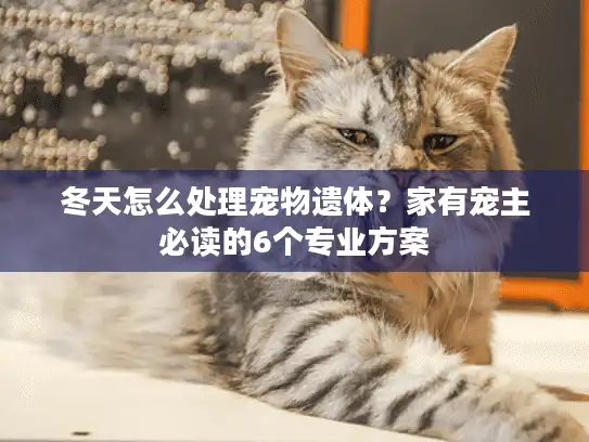 冬天怎么处理宠物遗体？家有宠主必读的6个专业方案