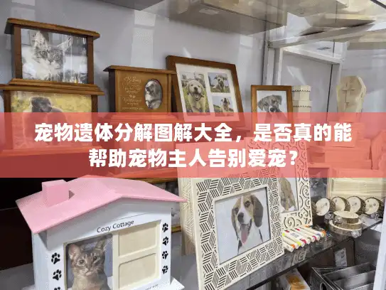 宠物遗体分解图解大全，是否真的能帮助宠物主人告别爱宠？