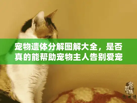 宠物遗体分解图解大全，是否真的能帮助宠物主人告别爱宠？