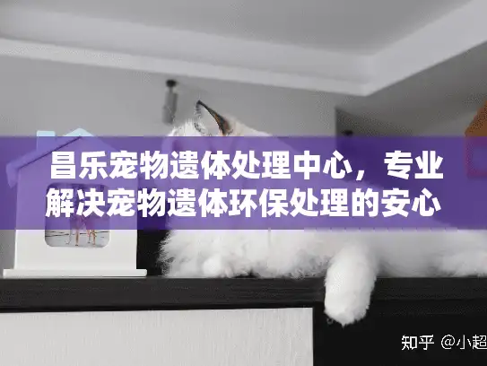 昌乐宠物遗体处理中心，专业解决宠物遗体环保处理的安心方案