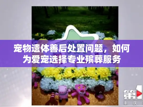 宠物遗体善后处置问题，如何为爱宠选择专业殡葬服务