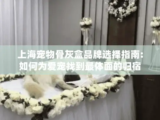 上海宠物骨灰盒品牌选择指南:如何为爱宠找到最体面的归宿