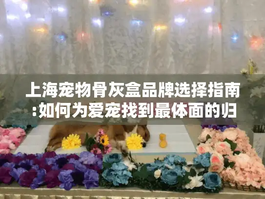 上海宠物骨灰盒品牌选择指南:如何为爱宠找到最体面的归宿