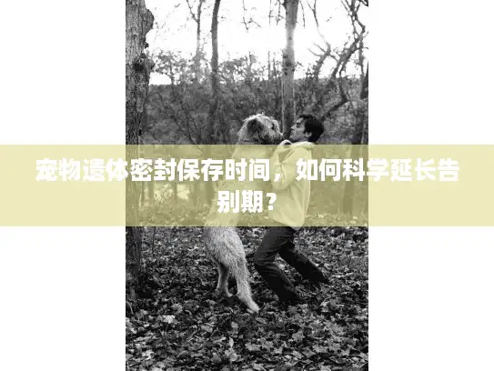 宠物遗体密封保存时间，如何科学延长告别期？