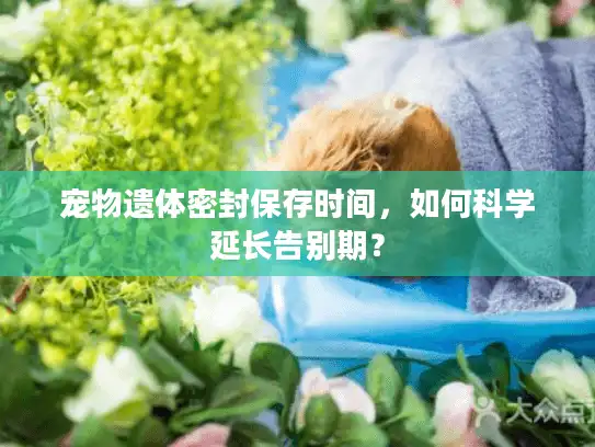 宠物遗体密封保存时间，如何科学延长告别期？