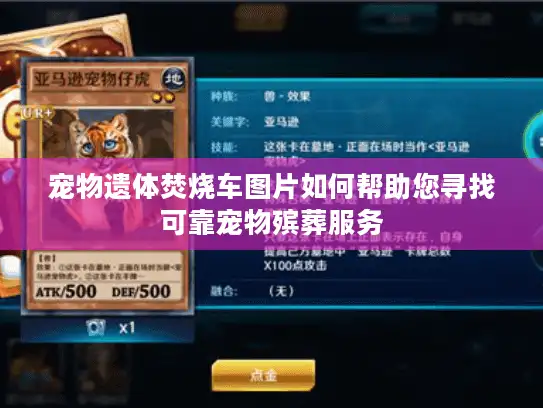 宠物遗体焚烧车图片如何帮助您寻找可靠宠物殡葬服务