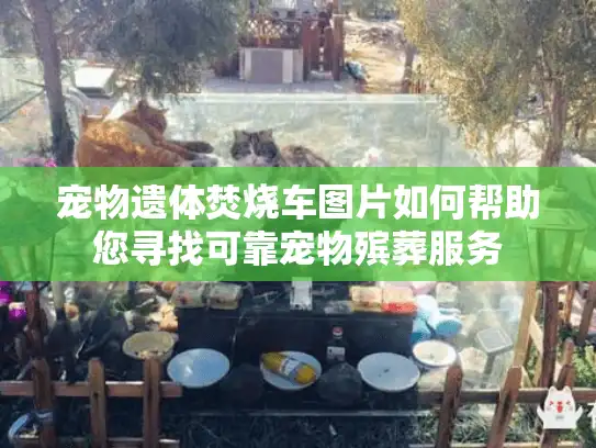 宠物遗体焚烧车图片如何帮助您寻找可靠宠物殡葬服务