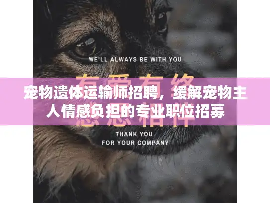 宠物遗体运输师招聘，缓解宠物主人情感负担的专业职位招募