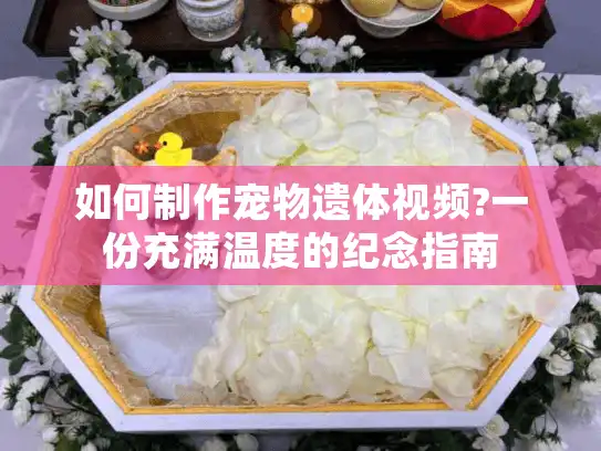如何制作宠物遗体视频?一份充满温度的纪念指南