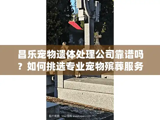 昌乐宠物遗体处理公司靠谱吗？如何挑选专业宠物殡葬服务？