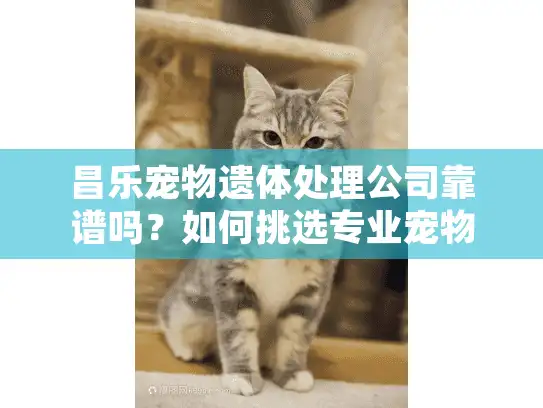 昌乐宠物遗体处理公司靠谱吗？如何挑选专业宠物殡葬服务？