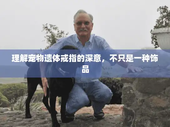 理解宠物遗体戒指的深意，不只是一种饰品
