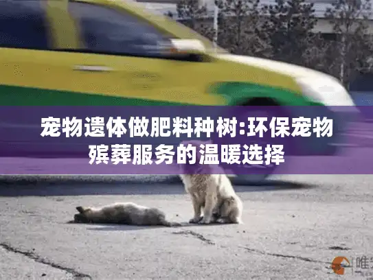 宠物遗体做肥料种树:环保宠物殡葬服务的温暖选择