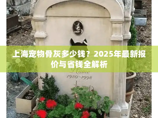 上海宠物骨灰多少钱？2025年最新报价与省钱全解析