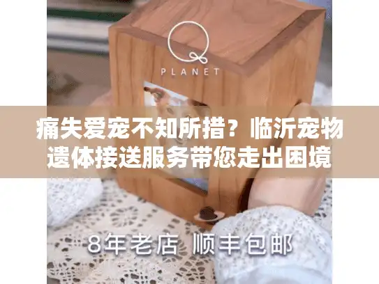 痛失爱宠不知所措？临沂宠物遗体接送服务带您走出困境