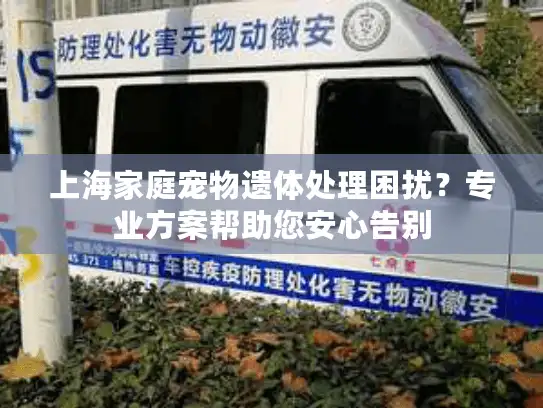 上海家庭宠物遗体处理困扰？专业方案帮助您安心告别