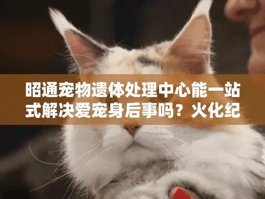 昭通宠物遗体处理中心能一站式解决爱宠身后事吗？火化纪念套餐详解